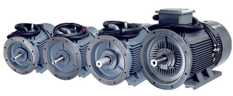 1733314687219975.png HPKD.png